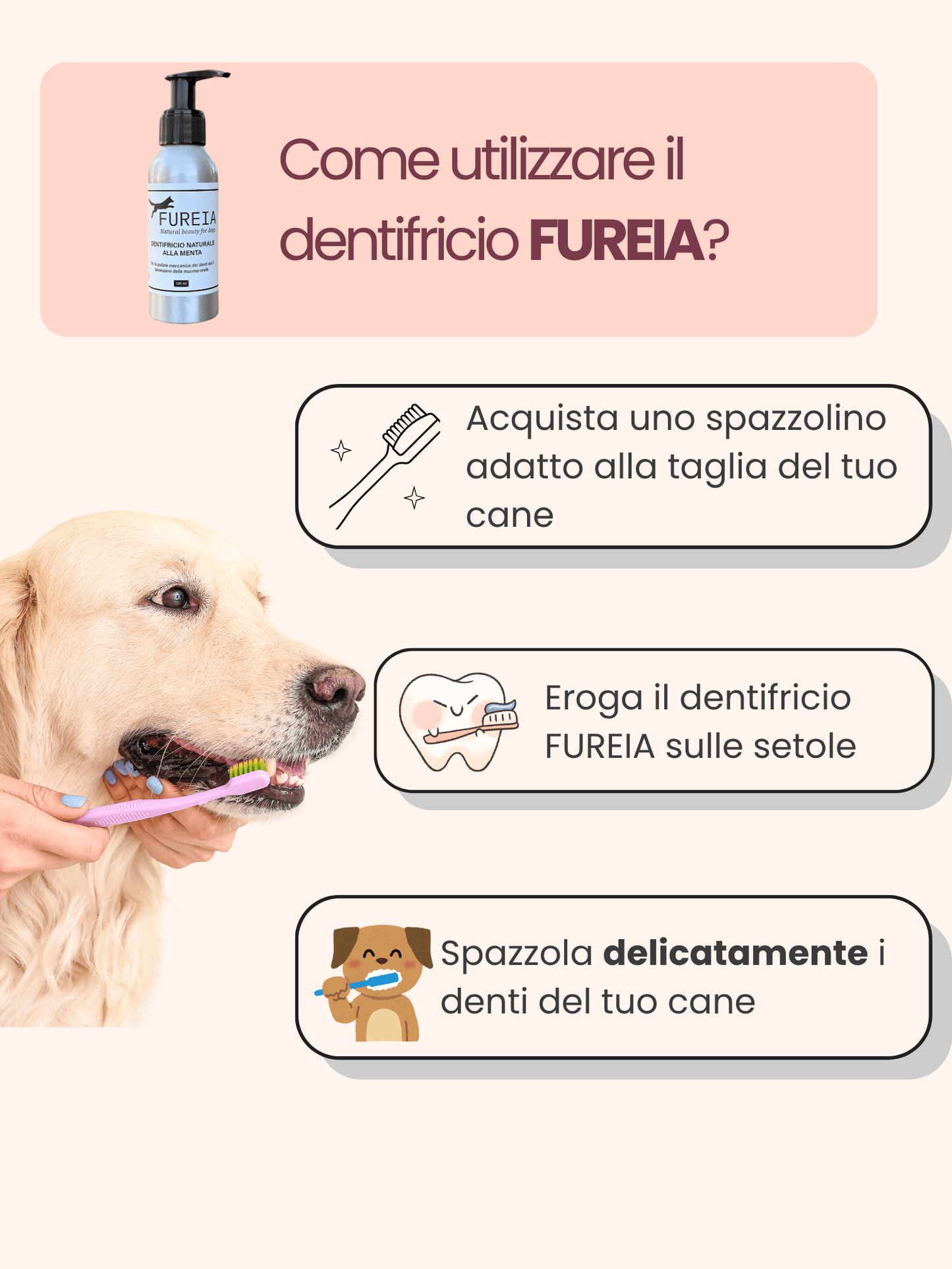 FUREIA FUREIABRAND FUREIAPRODUCT SCHIUMA ZAMPE SHAMPOONATURALE CANE DENTIFRICIONATURALE LAVANDA BERGAMOTTO ZAMPEEPELO PELO