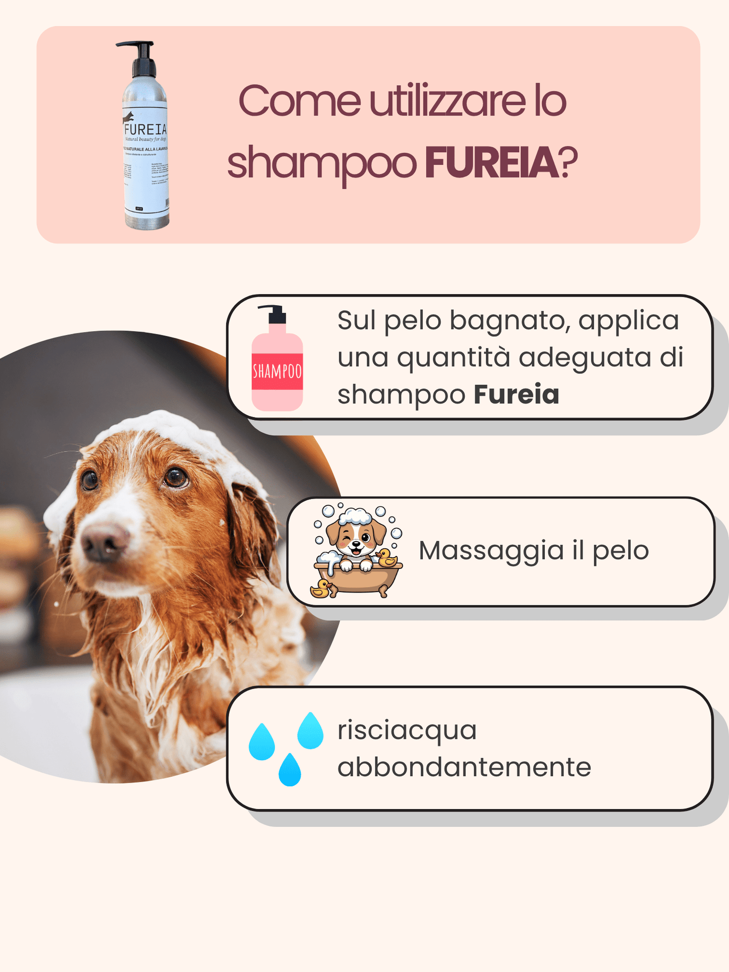 FUREIA FUREIABRAND FUREIAPRODUCT SCHIUMA ZAMPE SHAMPOONATURALE CANE DENTIFRICIONATURALE LAVANDA BERGAMOTTO ZAMPEEPELO PELO