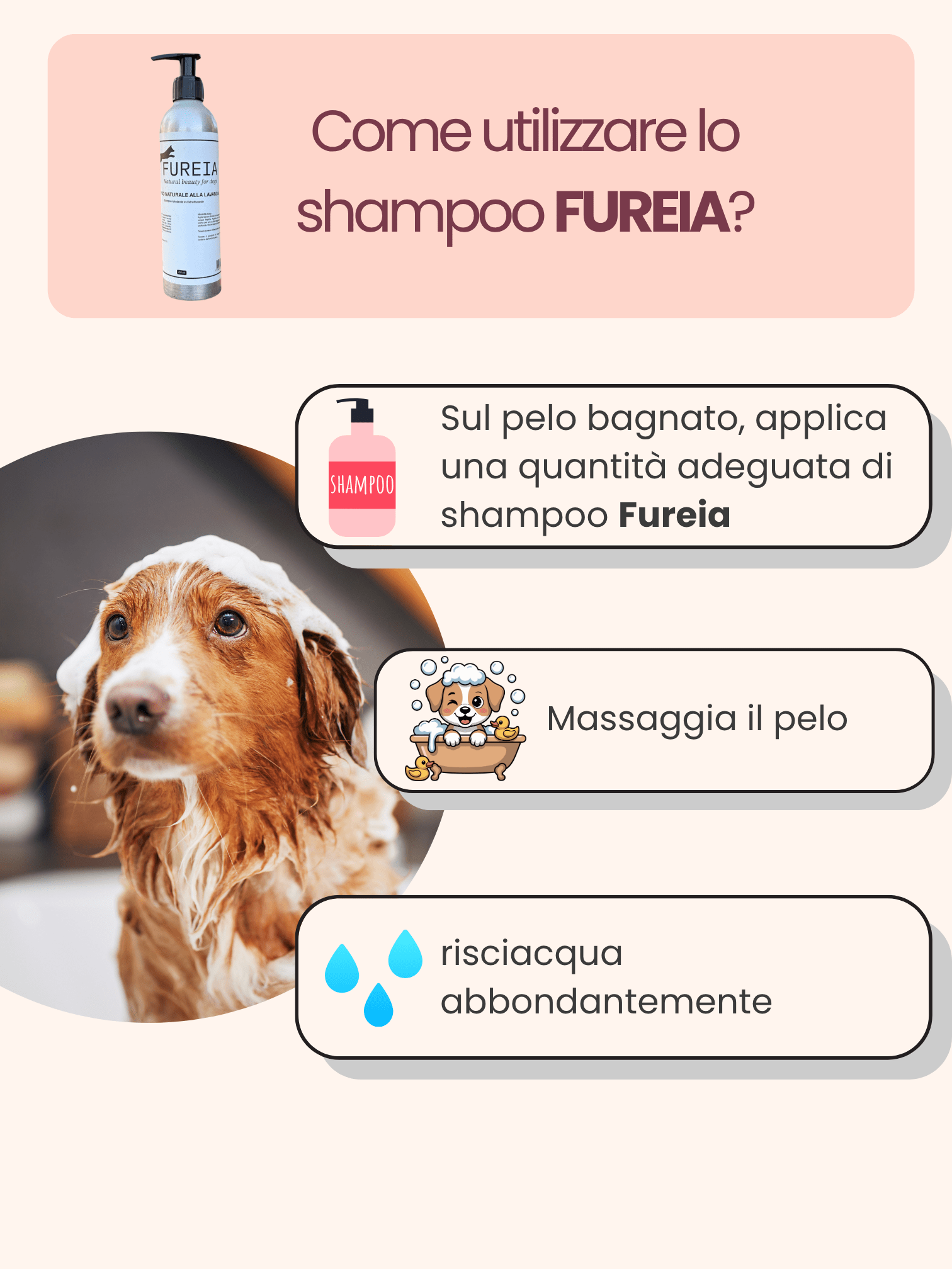 FUREIA FUREIABRAND FUREIAPRODUCT SCHIUMA ZAMPE SHAMPOONATURALE CANE DENTIFRICIONATURALE LAVANDA BERGAMOTTO ZAMPEEPELO PELO