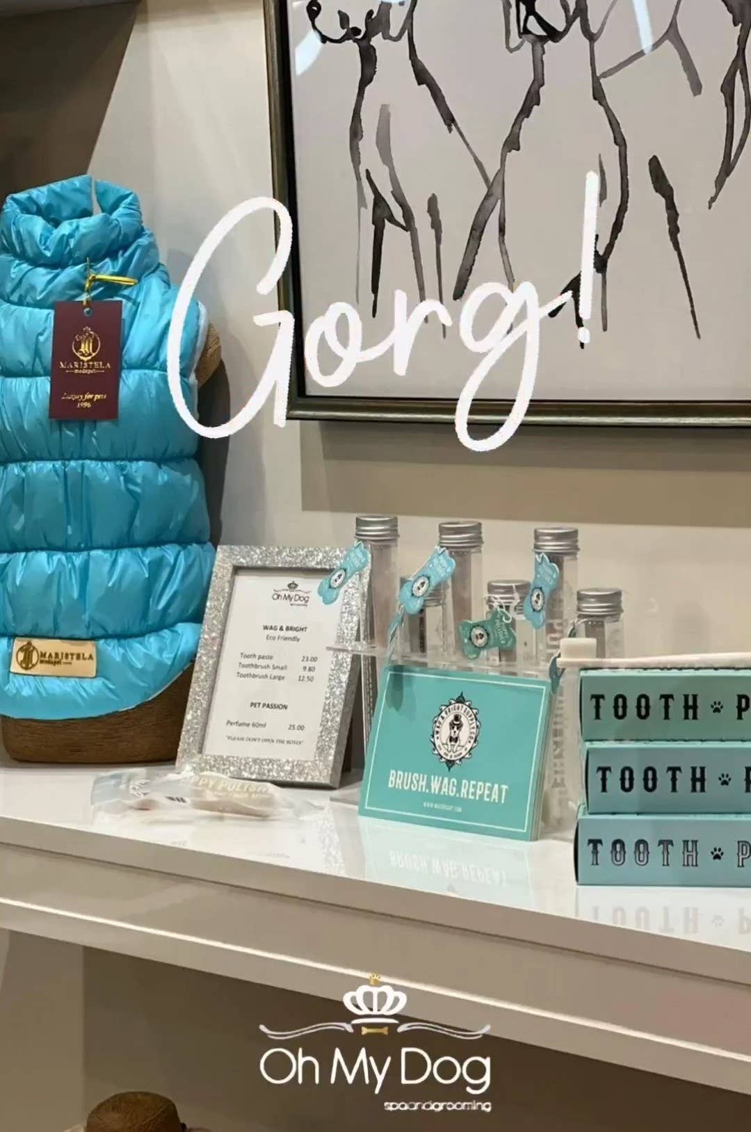 FUREIA FUREIABRAND FUREIAPRODUCT SCHIUMA ZAMPE SHAMPOONATURALE CANE DENTIFRICIONATURALE LAVANDA BERGAMOTTO ZAMPEEPELO PELO