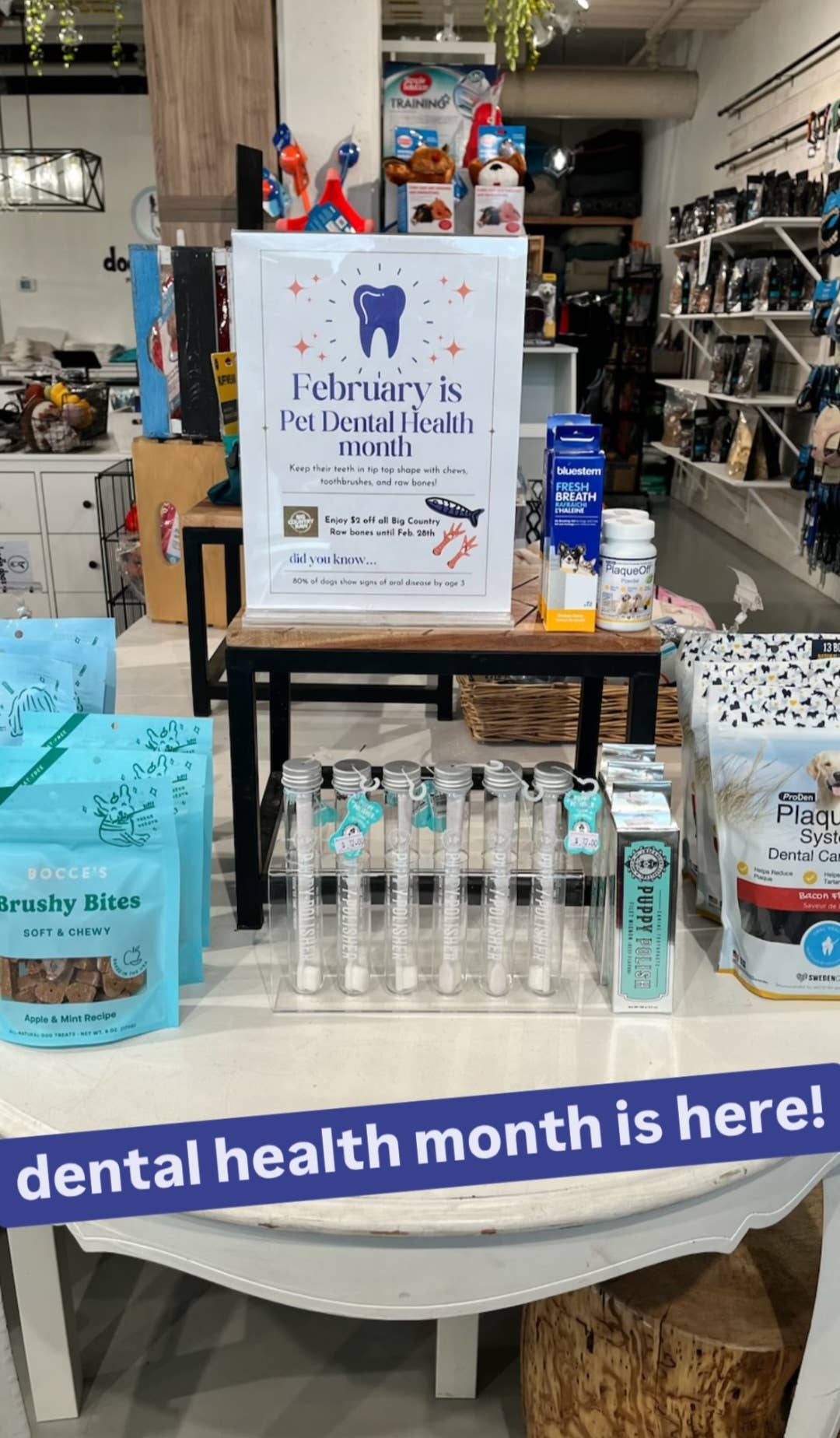 FUREIA FUREIABRAND FUREIAPRODUCT SCHIUMA ZAMPE SHAMPOONATURALE CANE DENTIFRICIONATURALE LAVANDA BERGAMOTTO ZAMPEEPELO PELO